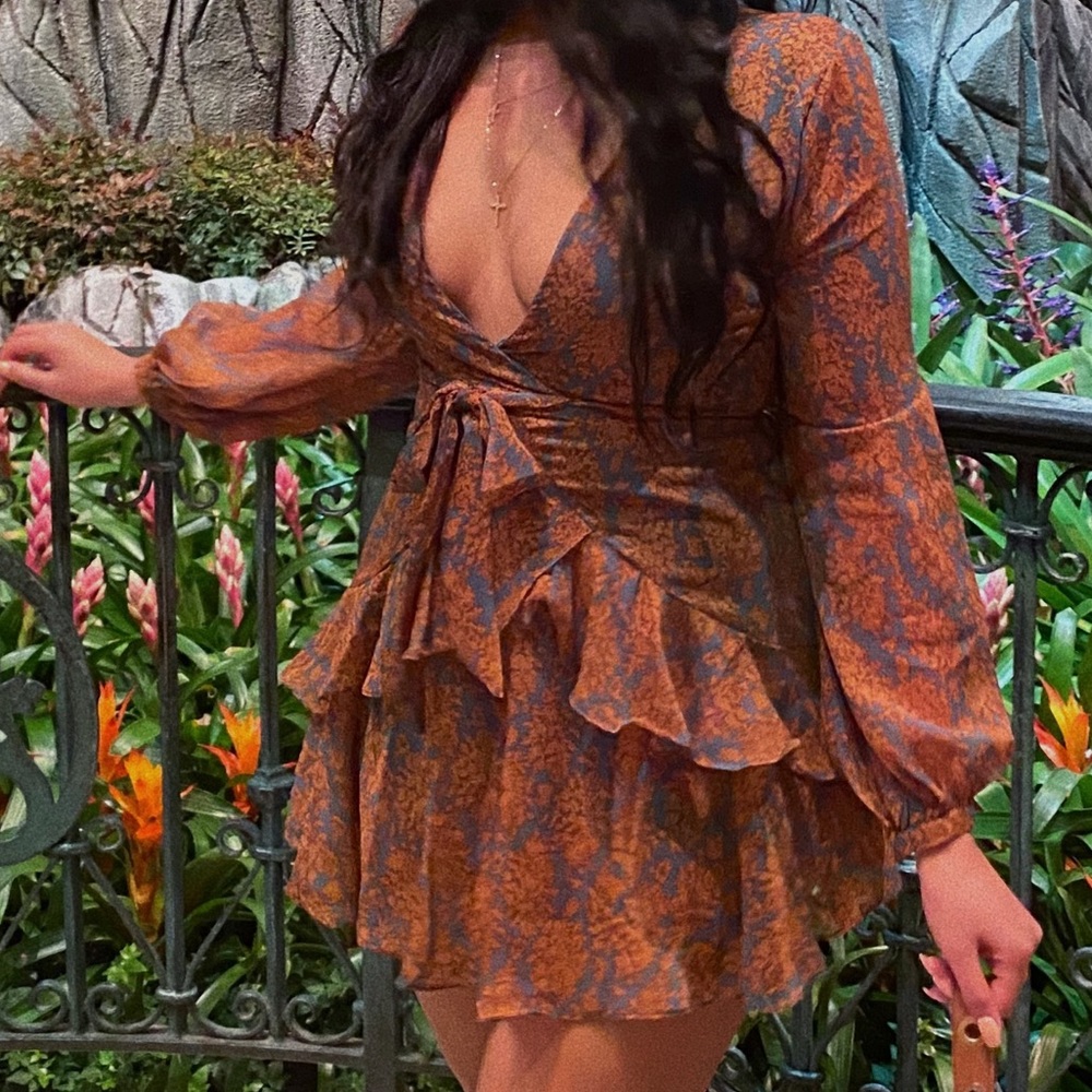 Fashion Nova Dress